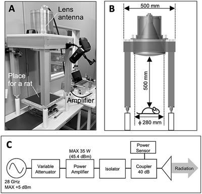 Excessive whole-body exposure to 28 GHz quasi-millimeter wave induces thermoregulation accompanied by a change in skin blood flow proportion in rats